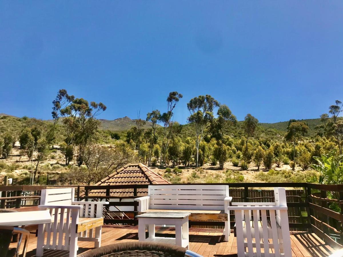 Mountain View Eco Lodge Montagu Dış mekan fotoğraf