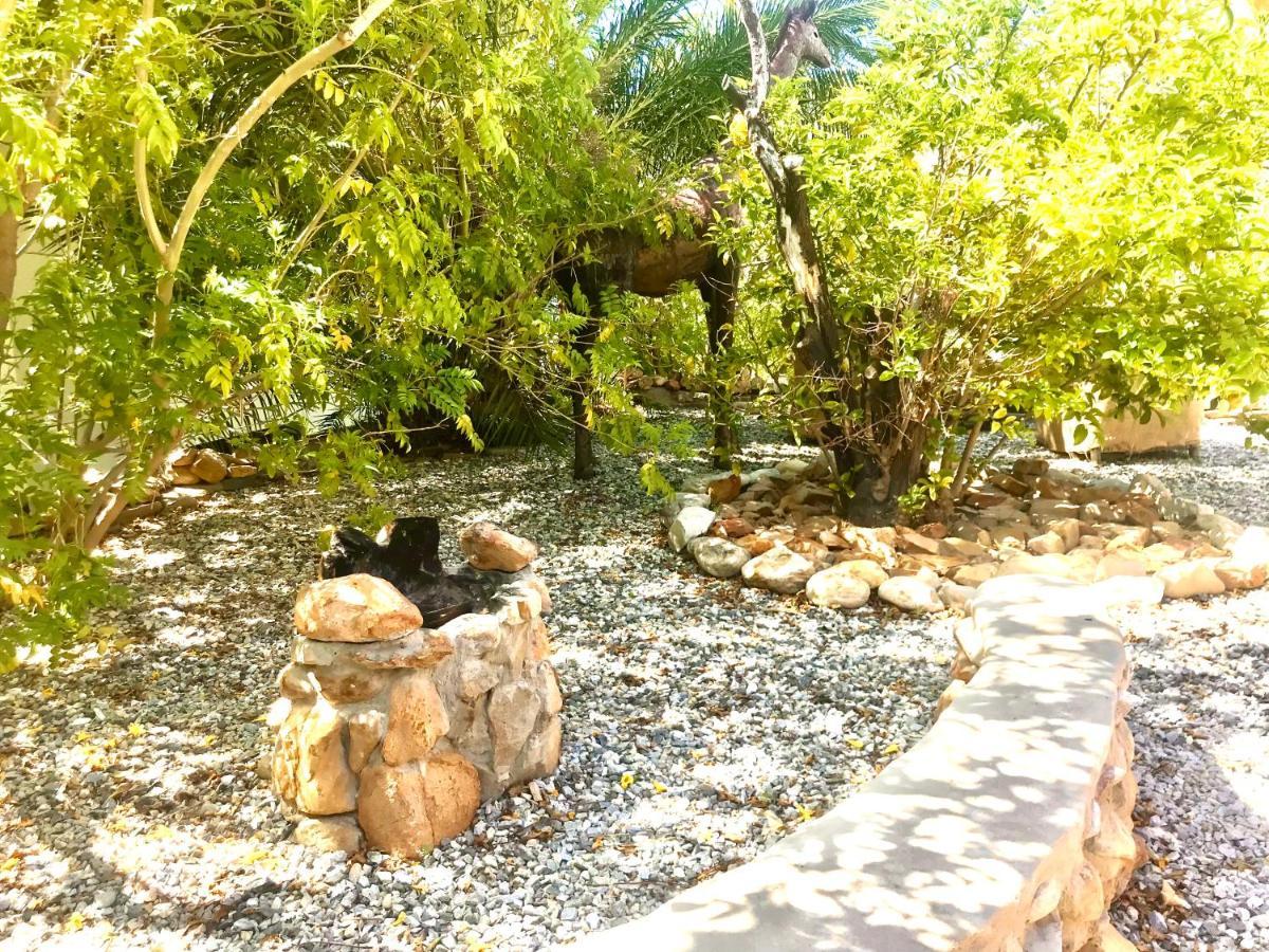 Mountain View Eco Lodge Montagu Dış mekan fotoğraf