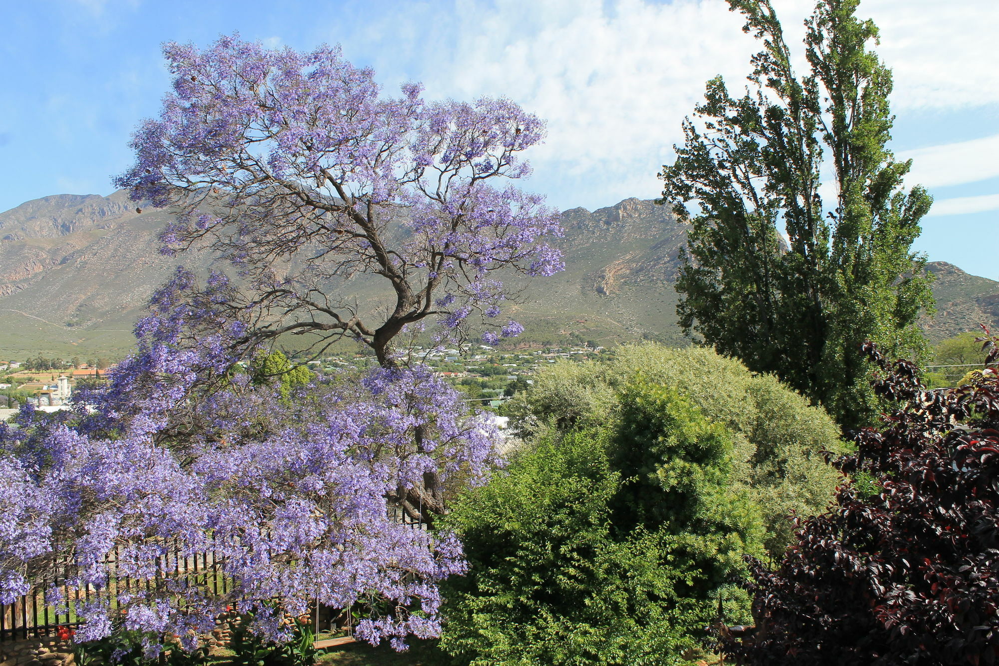 Mountain View Eco Lodge Montagu Dış mekan fotoğraf