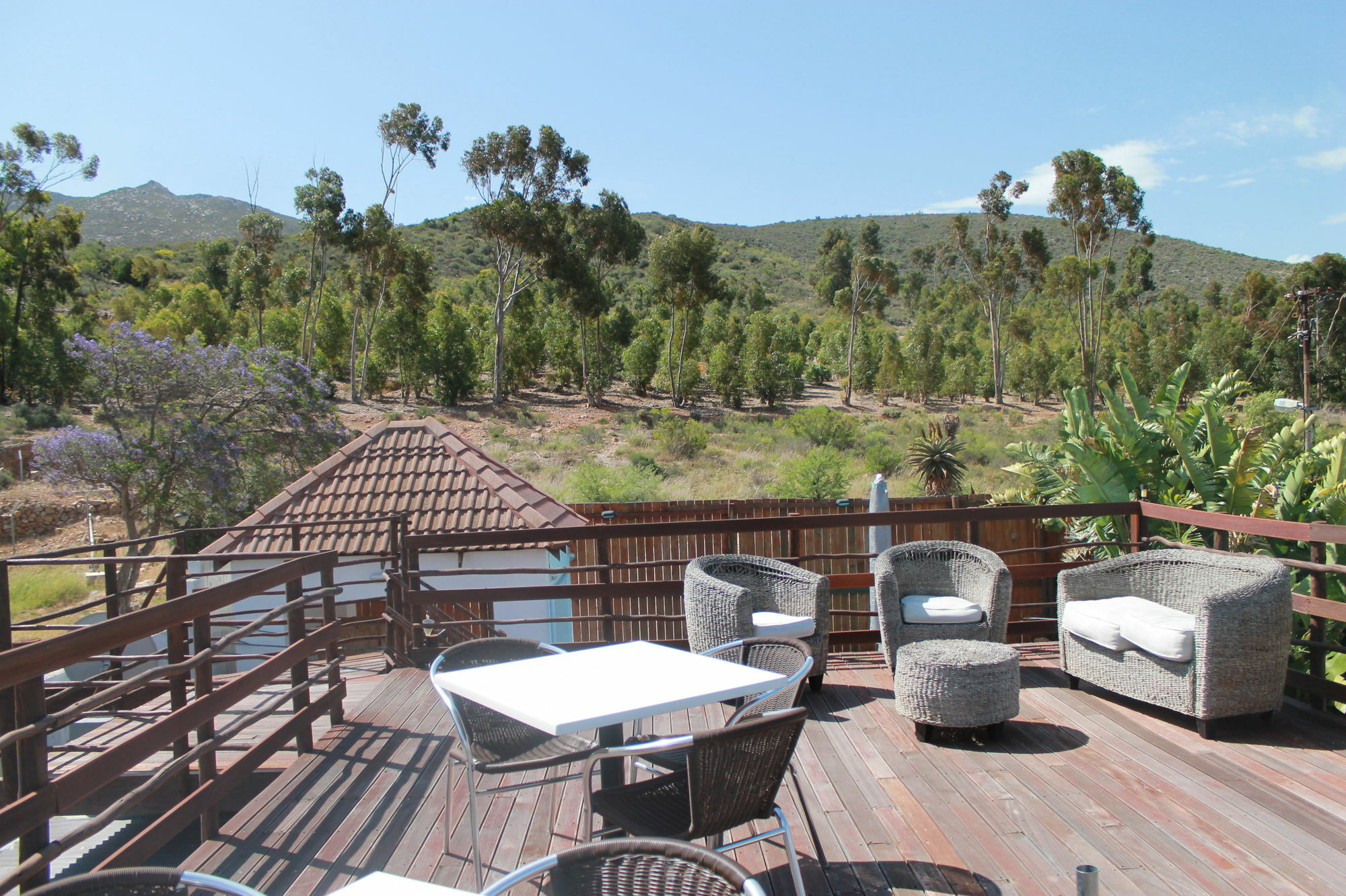 Mountain View Eco Lodge Montagu Dış mekan fotoğraf